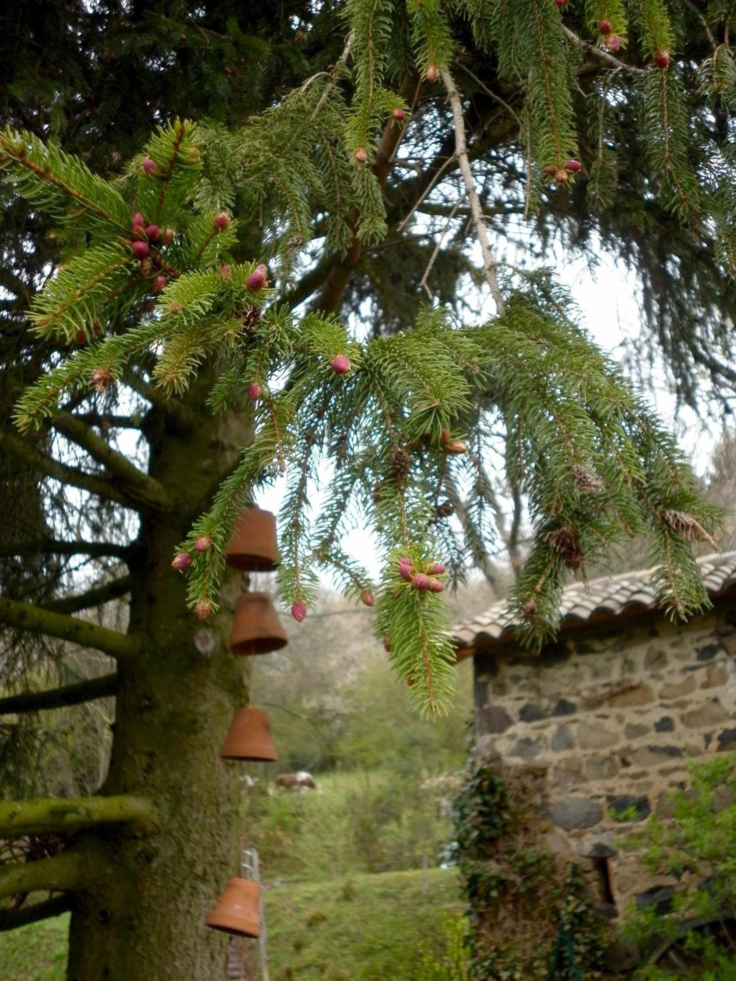 Maison D'Hotes De La Verriere Les Ardillats Εξωτερικό φωτογραφία